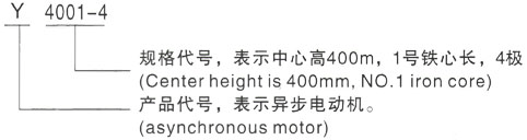 西安泰富西玛Y系列(H355-1000)高压岳西三相异步电机型号说明